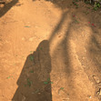 Anu