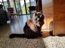 Lucy
