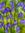 Taylor | 1 comments