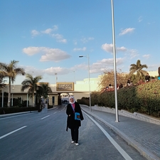 هاميس محمود