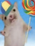 pag