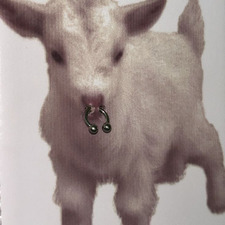 Anne ૮ ˙Ⱉ˙ ა