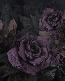 DarkRomLover7