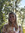 Kaitlyn Hafer
