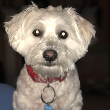 Jamie