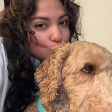 angie : )