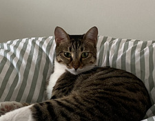 Wilma