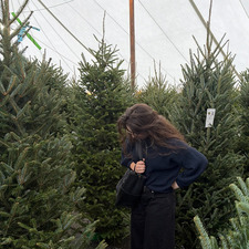 Morg