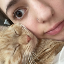 stella :,)