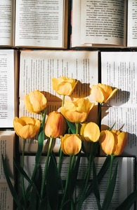 bookreader.19
