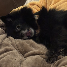 ⋆ ˚｡⋆୨ Jinx Reads ୧⋆ ˚｡⋆