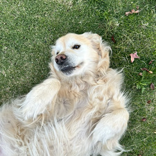 Ella