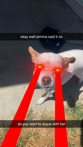 Amara
