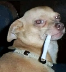 Sam