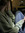 Savanna Lanier
