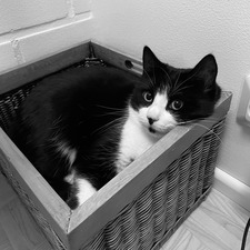 ・❀✿ sara ✿❀・