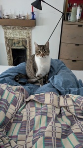 Ella