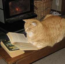 gingereading