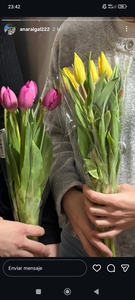 Marta