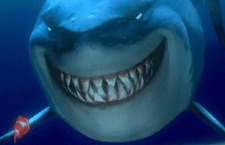 Bruce