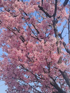 May
