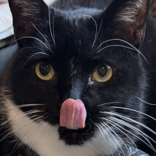 Kim Dalton