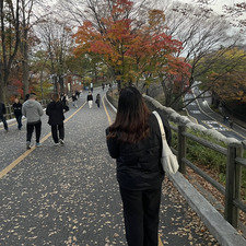 Sujinnie
