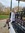 Sophie Wootton