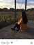 Clau