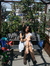 Shivani...