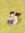eli ⋆˚꩜｡