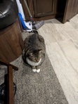 Micah
