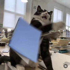 Kat