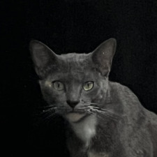Nick