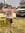Zachary Wolfinbarger