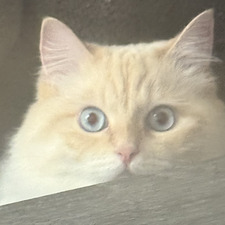 Katy B Chillin