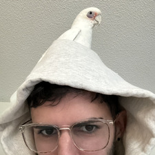 Simon