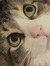 Libby S...