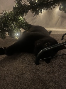chloe !!!