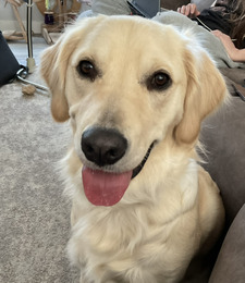 Addyson