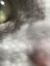 Cai