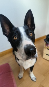 Esther