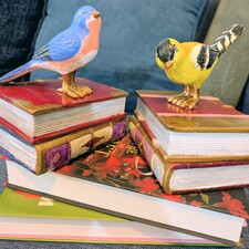 Brittani (Book_Byrd)