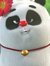 PandaPi...