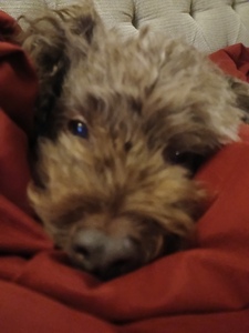 Ruby