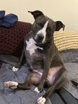 Angela