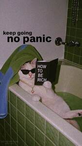 H قطقوطي كتكوتي ( مياااو ميااااو )