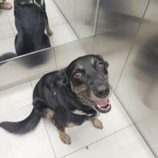 ⋆. 𐙚˚࿔ 𝐒𝐚𝐫𝐲 𝜗𝜚˚⋆