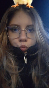 Pannikad