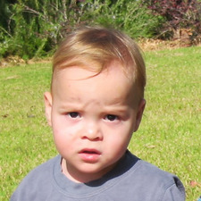Atar Erez